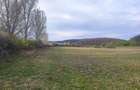 Teren imprejmuit 6,40 ha - 3