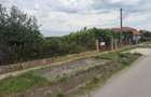Casă cu 3 camere în Bogata - 7