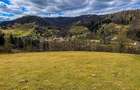 Teren intravilan 6.260 mp Vidra Alba langa Arie? | utilita?i | se poate impar?i - 2