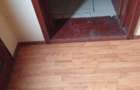 Vand casa + teren 5500mp Cacica, Langa Suceava - 3