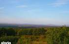 Vanzare casa cu teren intravilan ?i panorama, Valea Calugareasca - 6