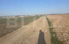 Teren intravilan, 5000 mp, zona Selgros, Preajba - 2