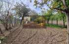 Casa Paunesti/Viisoara/Vrancea/Teren 969 mp - 7