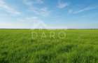Teren de 100000 mp, în Zagăr - 1