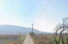 Teren constructie/investitie 8600 acces DN7 si A1 (linie curent 20kV) - 6