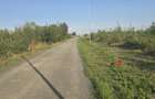 Teren de 2500 mp, în Giarmata - 1