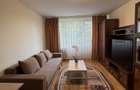 Apartament 2 Camere | Zona Dristor | 10 Min de Park Lake Camil Ressu - 2