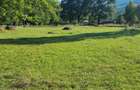Teren Construcții intravilan de 6000 mp, în Dărmănești - 8