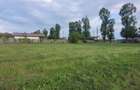 Vand teren intravilan 550mp Ganeasa IF - 2