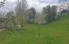 Teren de 1600 mp, în Groși - 3