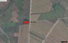 Teren agricol extravilan de 7500 mp, în Bolotești - 5