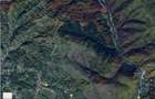 Teren Construcții extravilan de 6500 mp, în Albeștii de Muscel - 10