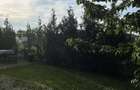 Apartament cochet cu gradina - 4