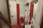 Apartament 1 camera-Buziasului - 11