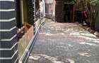 Casa WOW EXCLUSIVITATE  tip P+M - 11