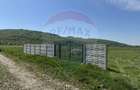 Teren Construcții intravilan de 1400 mp, în Livada (Iclod) - 3