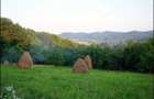 Vand teren in zona de deal-munte ,la 5 km de Manastirea Curtea de Arges,in com.Valea Iasului ,ARGES - 5