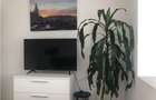 Apartament cu 3 camere decomandat în Scriitorilor - 9