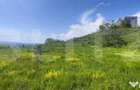 Teren panoramic 15.500 mp investi?ie sau dezvoltare, zo - 4
