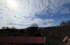 Apartament 2 camere- Pet friendly - 3