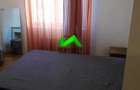 Apartament cu 2 camere decomandat în Terezian - 4