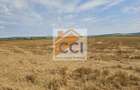 Teren intravilan 50.000 mp, Bacau, Soseaua Hol - 5