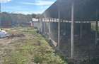 Ferma de vanzare , zona Dambu - 1
