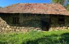 Casa din piatra la poalele Bedeleului Izvoarele, Alba - 5