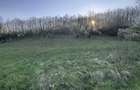 Teren extravilan cu padure proprie - 5