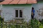 Casa in Ardeoani plus doua hectare de padure - 8