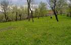 Teren intravilan de 1357 mp, în Tălii - 1