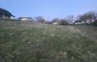 Teren 1000 mp Cornesti langa Timisoara | - 2