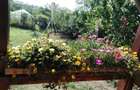 Vila cocheta Valter Maracineanu 87.000 euro - 6