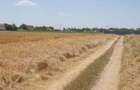 Teren intravilan de 370 mp, în Balotești - 5
