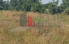 Dobreni, Giurgiu, vanzare 2 loturi de casa - 1