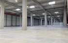 Inchiriere depozit/hala/spatiu industrial Chitila - Centura, Ilfov - 8