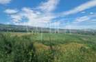 Teren Construcții intravilan de 11000 mp, în Borhanci - 1