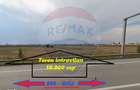 Teren intravilan 18.000 mp Nord Roman la E85 - 5