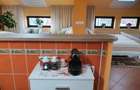 Apartament semidecomandat în Dorobanți - 17