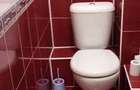 Apartament cu 2 camere decomandat în Buziașului - 2