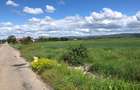 Teren extravilan de 100000 mp, în Lipănești - 6