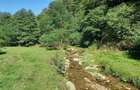 Teren de cabana pe Valea Recii( sat Strungari) - 6