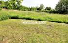 Casa 3 camere,102 mp, 1330 mp teren, 0% comision - 10