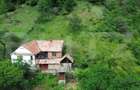 Casa tradi?ionala - o investi?ie cu poten?ial de dezvoltare, Capalna, Sasciori - 7