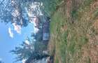 Casă cu 2 camere cu Teren 1000 Mp în Păduroiu din Vale - 8