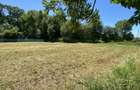 Teren Construcții de 2000 mp, în Lunca Calnicului - 5