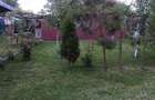 Casă cu 3 camere în Crivina - 2