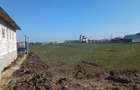 Intravilan cu PUZ pt constructie si dezmembrare utilitati la 100 m - 6