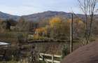 Proprietate pe Valea Vâlsanului – Cabane din lemn + Casă ecologică COB - 9