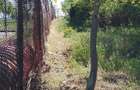 Vand un teren extratabular pe dealul Viilor in Oradea - 1